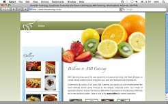 Website Design » MB Catering